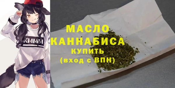 соль ск Горняк
