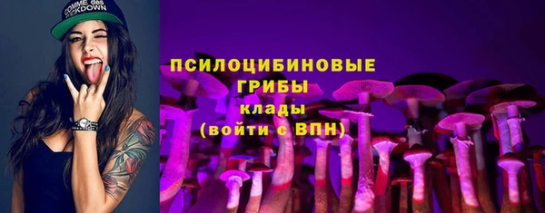 соль ск Горняк