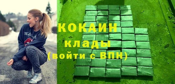 ПСИЛОЦИБИНОВЫЕ ГРИБЫ Гусь-Хрустальный