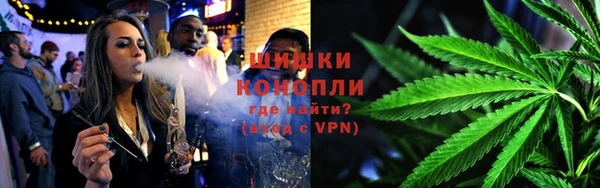 стафф Гусев