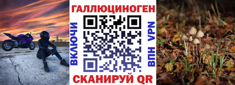 Купить где  Сольвычегодск  Галлюциногенные грибы Psilocybine cubensis 